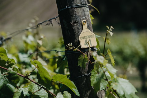 Kellybrook Winery And Kelly Brothers Cider - Bet 4u 2