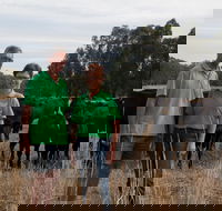 Milawa Organic Beef - Bet 4u