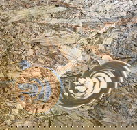 Salt. Coffee Roasters - Click Find