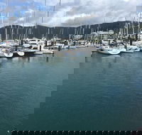 Whitsunday Sailing Club - Lawyer Find