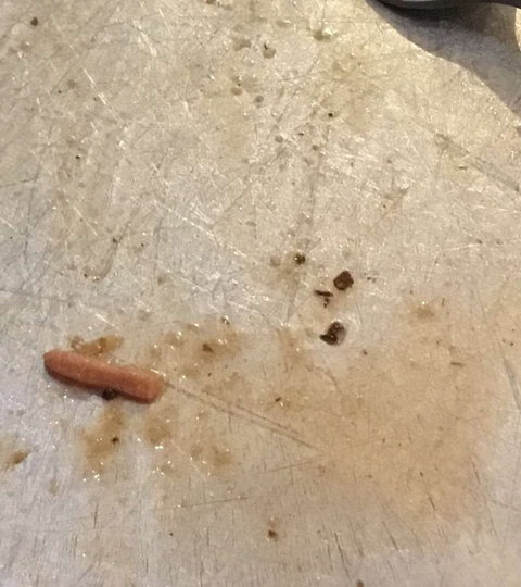 Gino's Pizza - Click Find 0