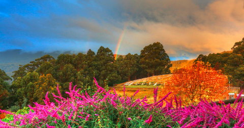 Hartzview Vineyard Heritage Pickers Hut Village - Local Finder 2