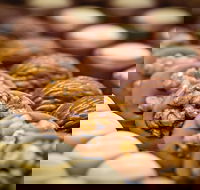 Koko Black - Carlton - Click Find