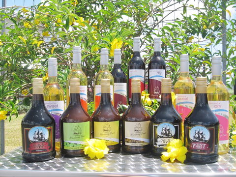 Murdering Point Winery - Lavinia 0