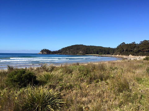 Surf Beach Cafe - Click Find 0