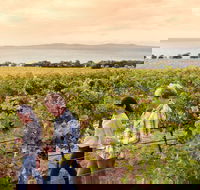 Boston Bay Wines - Click Find