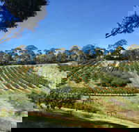 Cherrytime Orchard - Click Find