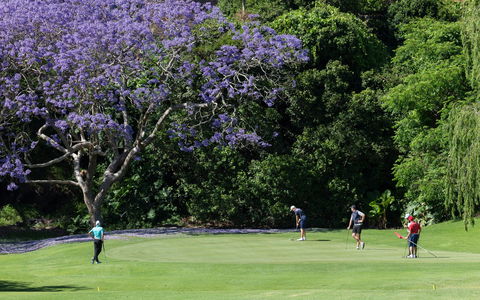Kiama Golf Club - Lawyer Find 2