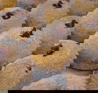Miami Bakehouse Mandurah - Click Find