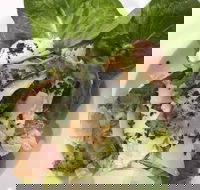 Ryan's Gourmet Kitchen - Click Find
