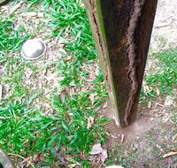 Country to Coast Pest Control - Click Find