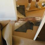 Complete Pest Control - Click Find 2