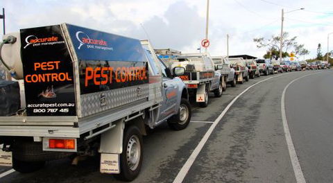 Accurate Pest Management - Click Find 4