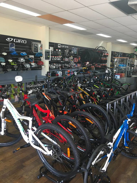 Bikes On High - Who Is Search 4