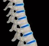 Glasco Chiropractic - DBD