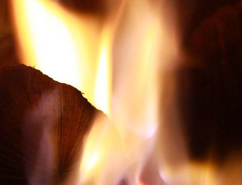 BD’s Woodfired Pizza & Pasta - DBD 1