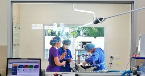 Parap Veterinary Hospital - Click Find 3
