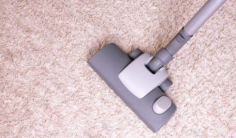 Elite Carpet Cleaning & Pest Control - Click Find 1