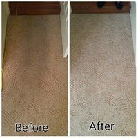 Elite Carpet Cleaning & Pest Control - Click Find 6