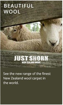 Newcastle Carpet One - DBD 2