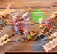 Bar Alto - Local Finder