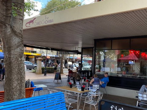 The Sand Goanna - Click Find 0