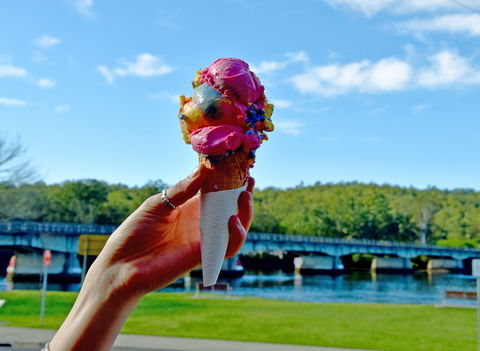 The River Cafe Nelligen - Click Find 2