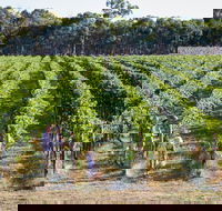 Weathercraft Wines - Bet 4u