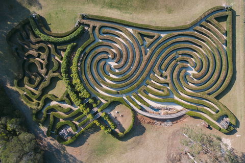 Bago Maze And Wine - Click Find 0