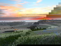 Cape Bernier Vineyard