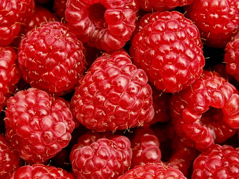 Christmas Hills Raspberry Farm Cafe - Click Find 2