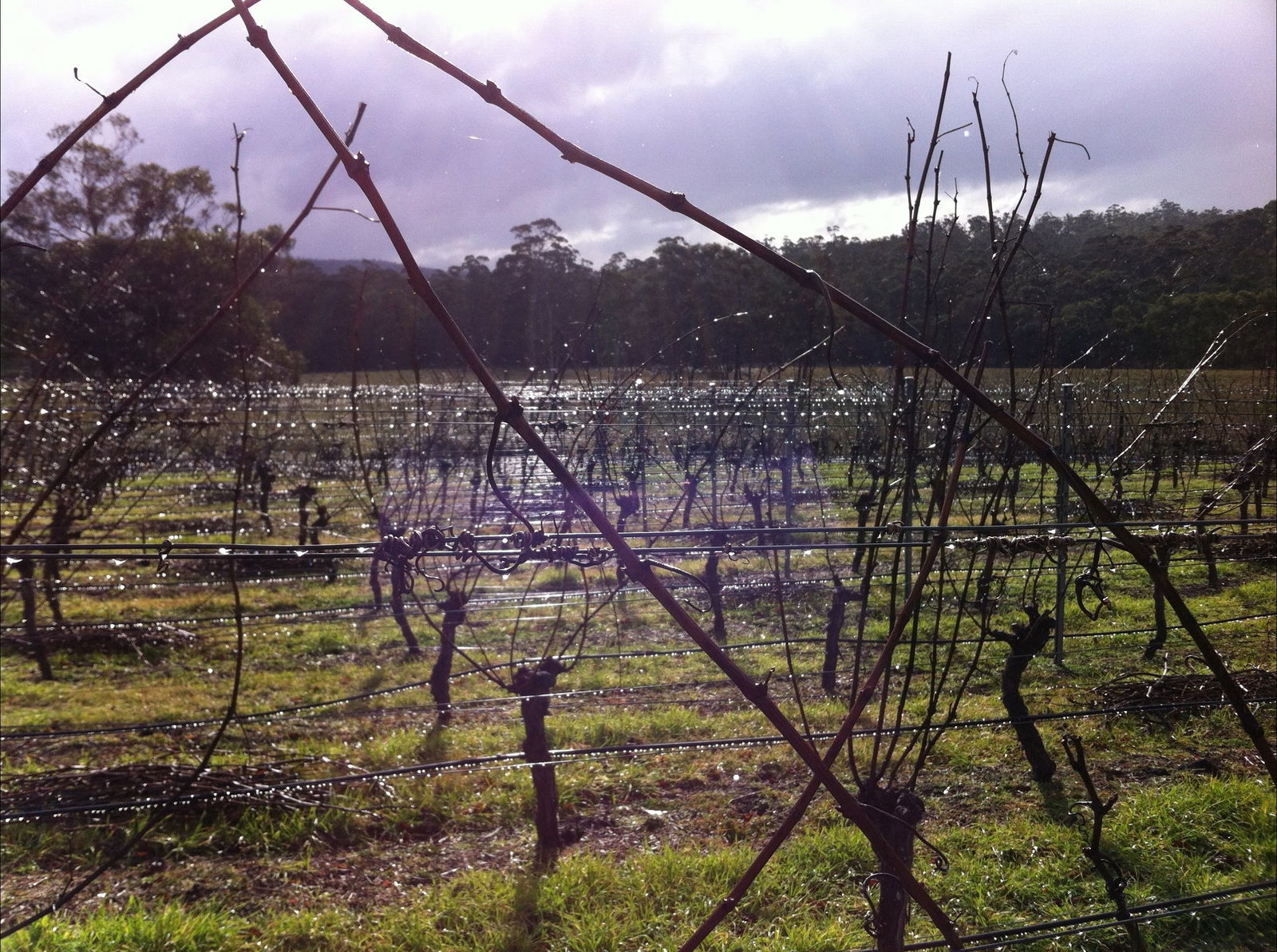 Orford TAS Click Find