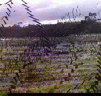 Darlington Vineyard - Click Find