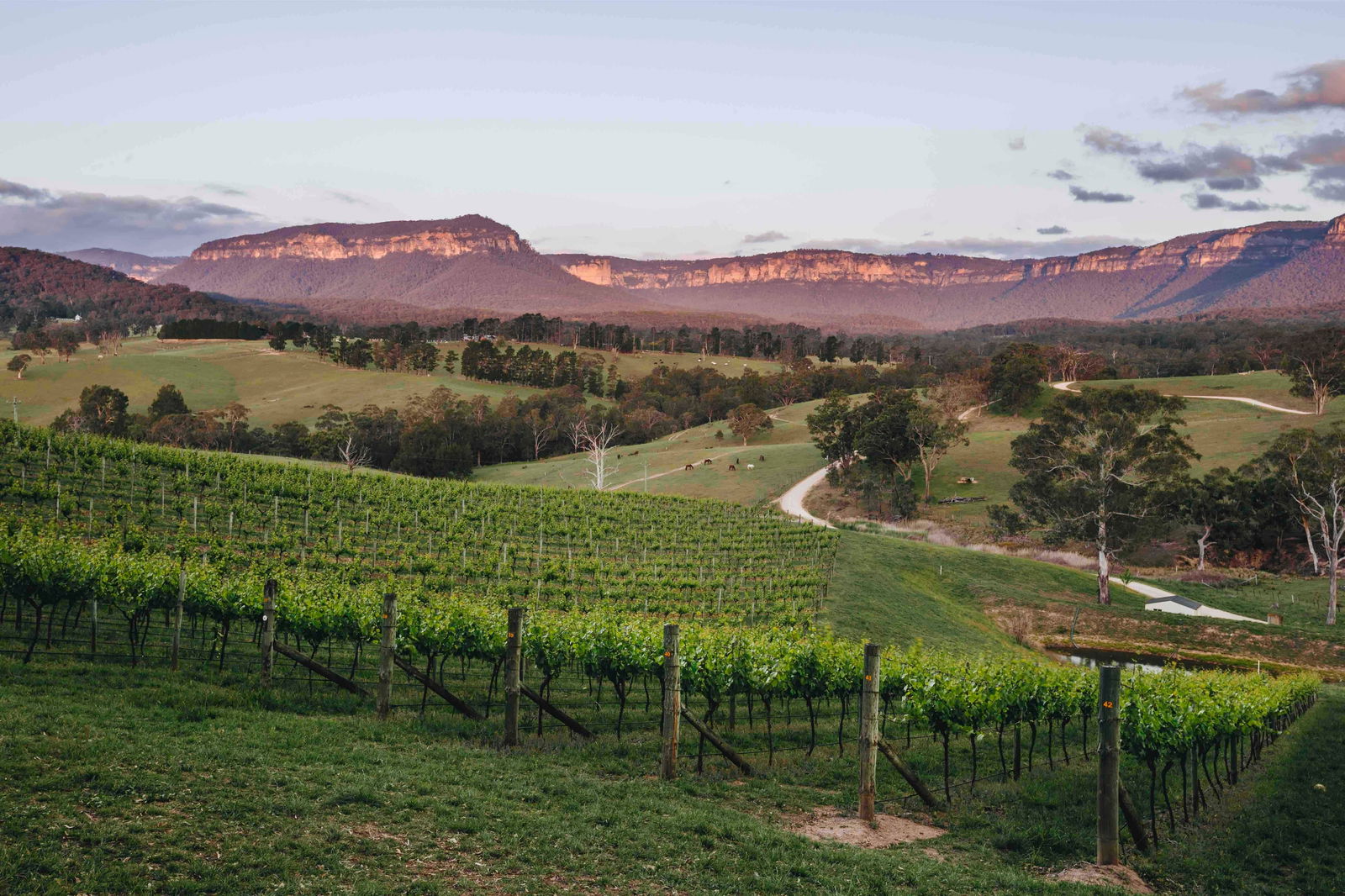 Megalong Valley NSW Bet 4u