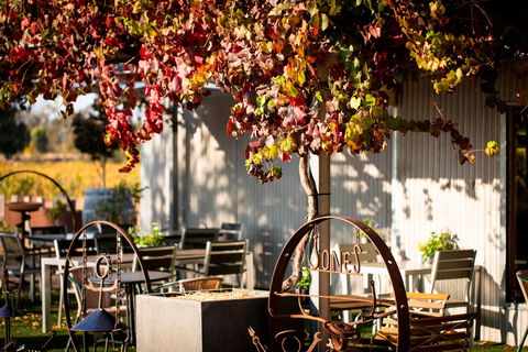 Jones Winery & Vineyard - Bet 4u 0