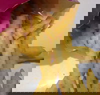 Red Rooster - Joondalup - Lavinia