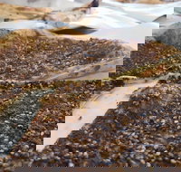 Yum Yum Bakery - Click Find