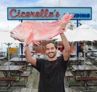 Cicerello's - Fremantle - Lawyer Find