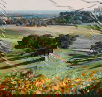 Green Door Winery Cellar Door - Click Find