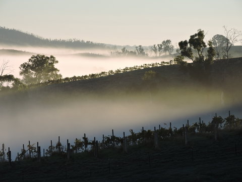 Mt Bera Cellar Door And Restaurant - Click Find 1