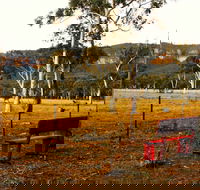 The Megalong Valley Tearooms - Bet 4u
