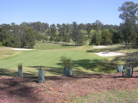Birdies On Bent - Click Find 1