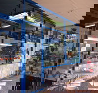 Daily Catch - Bridge Guide