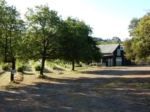 Gentle Annie Berry Gardens - Click Find 2