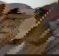 Roast Toast - Bet 4u