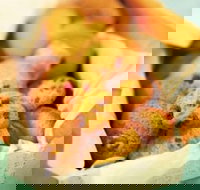 Mrs. Fields - Joondalup - Joondalup - Lawyer Find