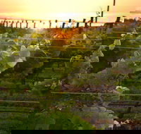 Bennetts on Bellarine Winery - Bet 4u