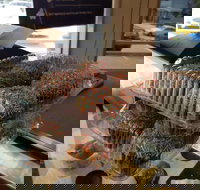 Brumby's - Holland Park - Bet 4u