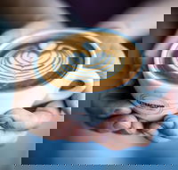 Extraction Artisan Coffee - Bridge Guide