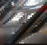 Matty and John's Espresso Bar - Who Is Search